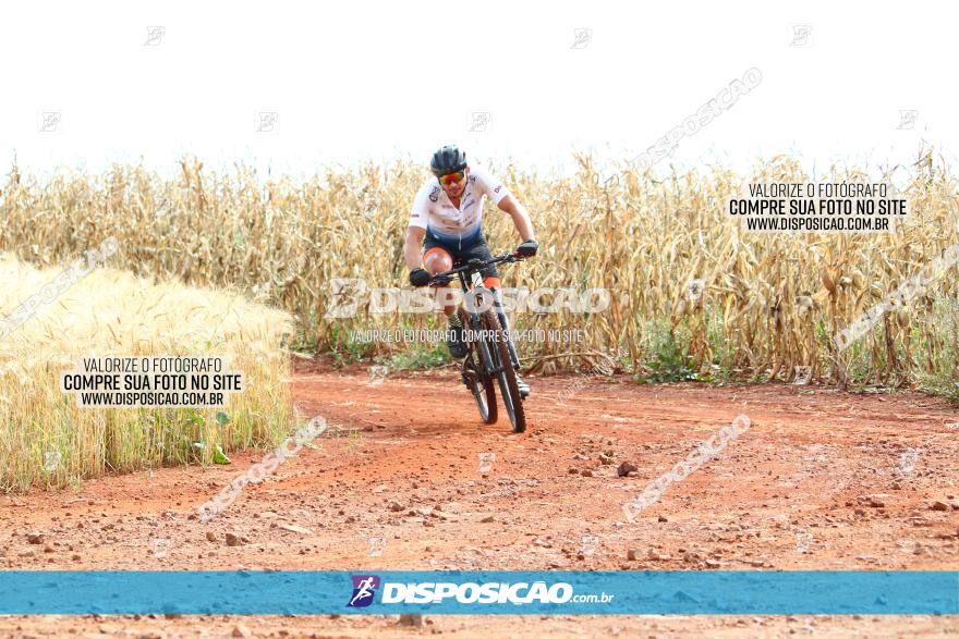 Circuito Regional de MTB - 3ª Etapa - Marialva