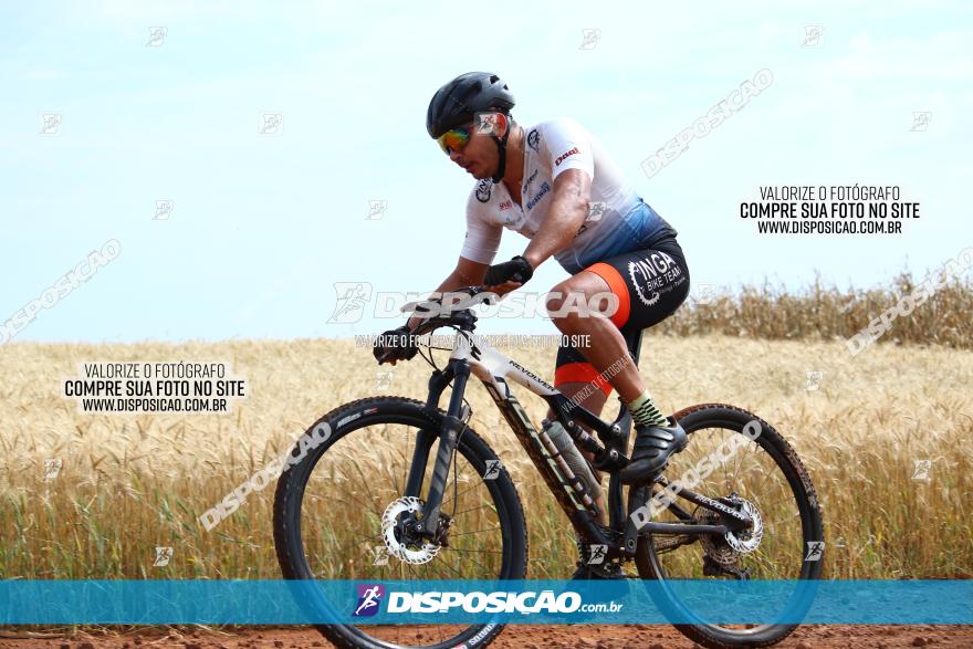 Circuito Regional de MTB - 3ª Etapa - Marialva