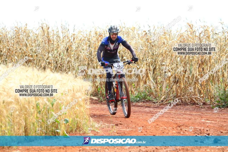 Circuito Regional de MTB - 3ª Etapa - Marialva