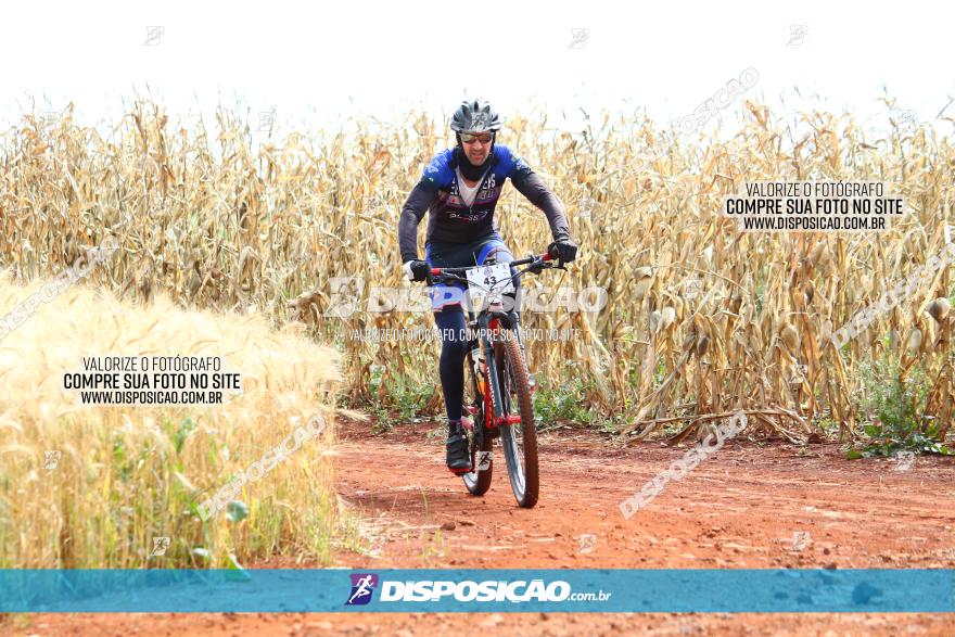 Circuito Regional de MTB - 3ª Etapa - Marialva