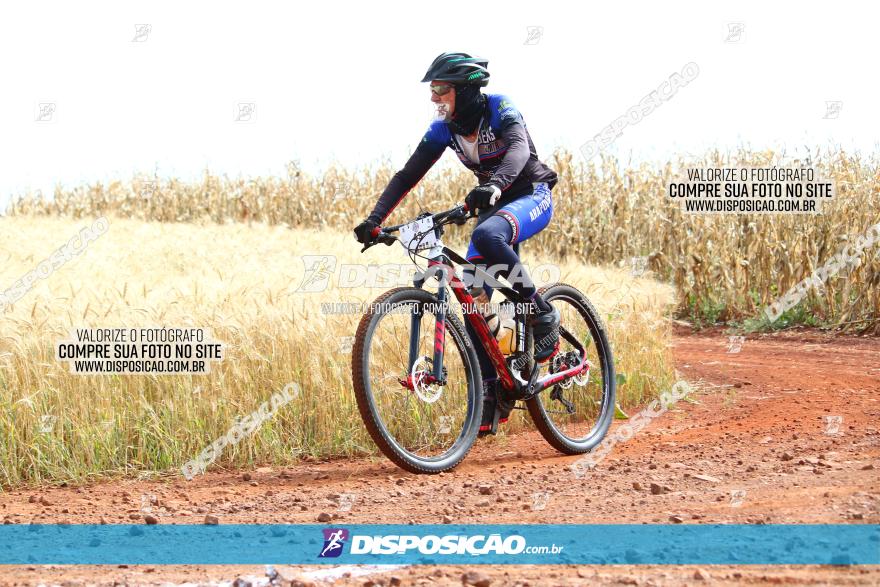 Circuito Regional de MTB - 3ª Etapa - Marialva