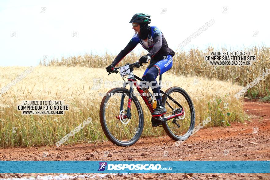 Circuito Regional de MTB - 3ª Etapa - Marialva