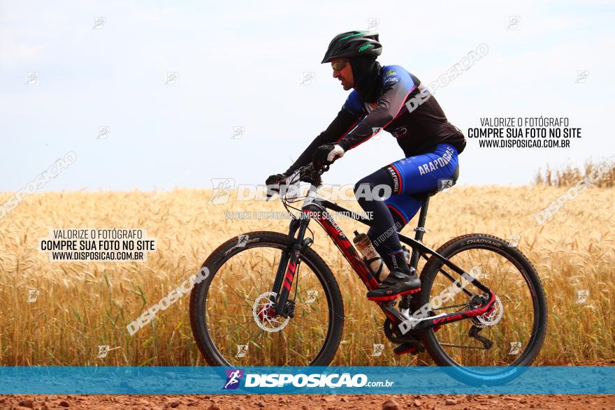 Circuito Regional de MTB - 3ª Etapa - Marialva