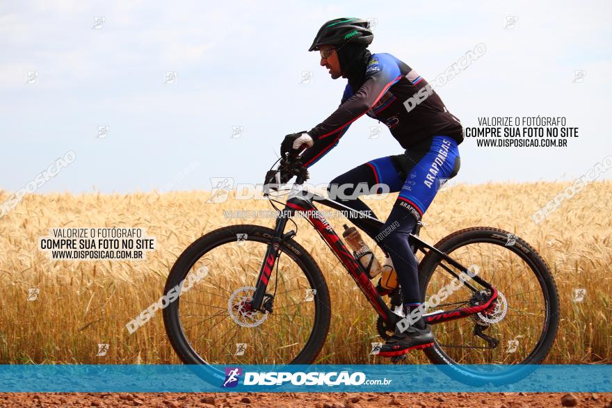 Circuito Regional de MTB - 3ª Etapa - Marialva