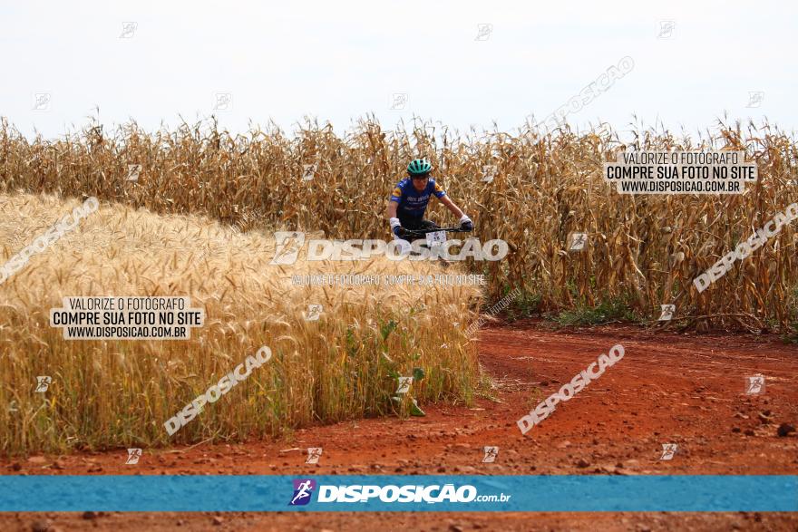 Circuito Regional de MTB - 3ª Etapa - Marialva