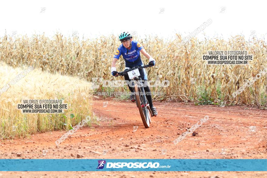 Circuito Regional de MTB - 3ª Etapa - Marialva