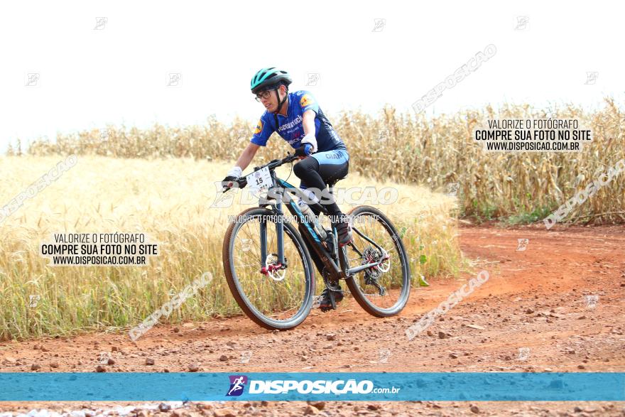 Circuito Regional de MTB - 3ª Etapa - Marialva