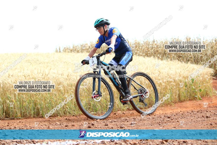 Circuito Regional de MTB - 3ª Etapa - Marialva