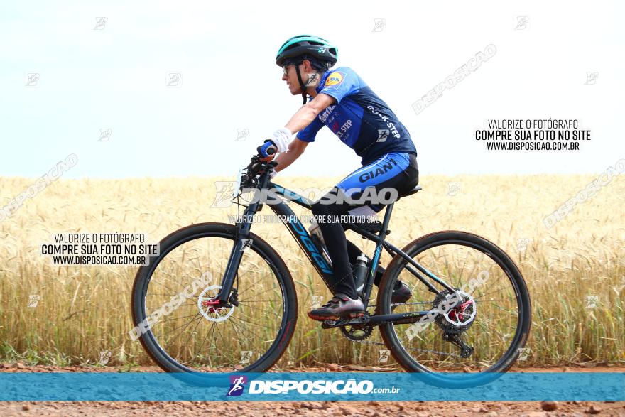 Circuito Regional de MTB - 3ª Etapa - Marialva