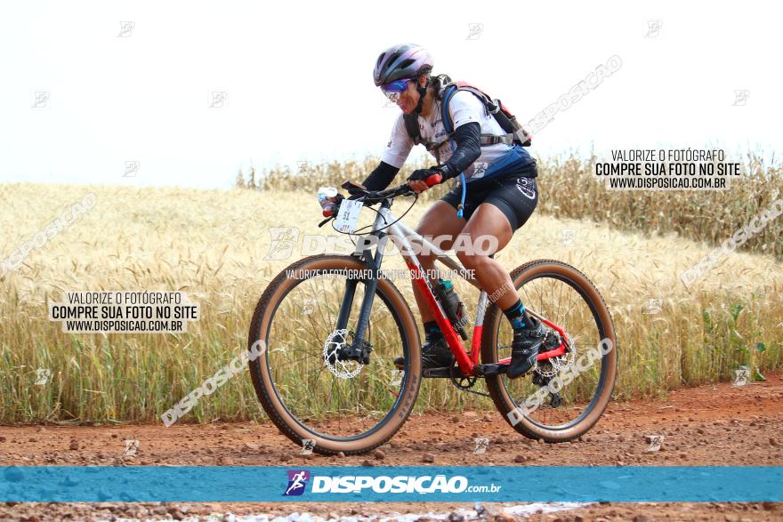 Circuito Regional de MTB - 3ª Etapa - Marialva