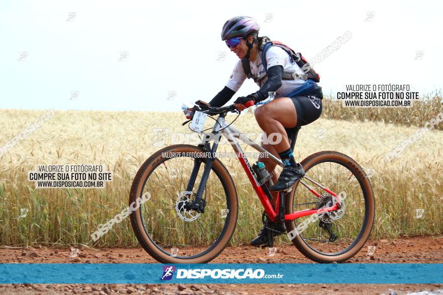 Circuito Regional de MTB - 3ª Etapa - Marialva