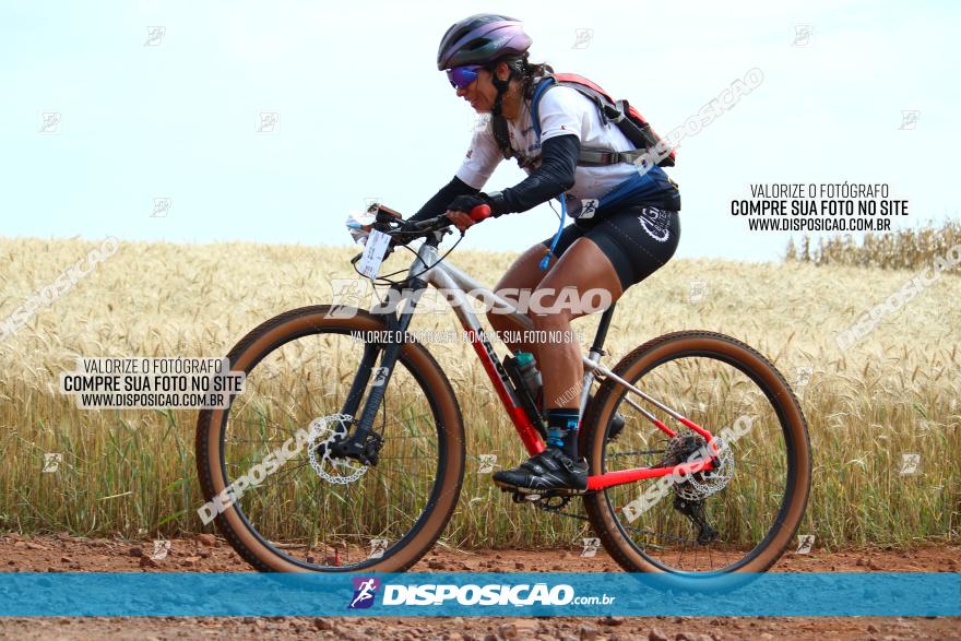 Circuito Regional de MTB - 3ª Etapa - Marialva