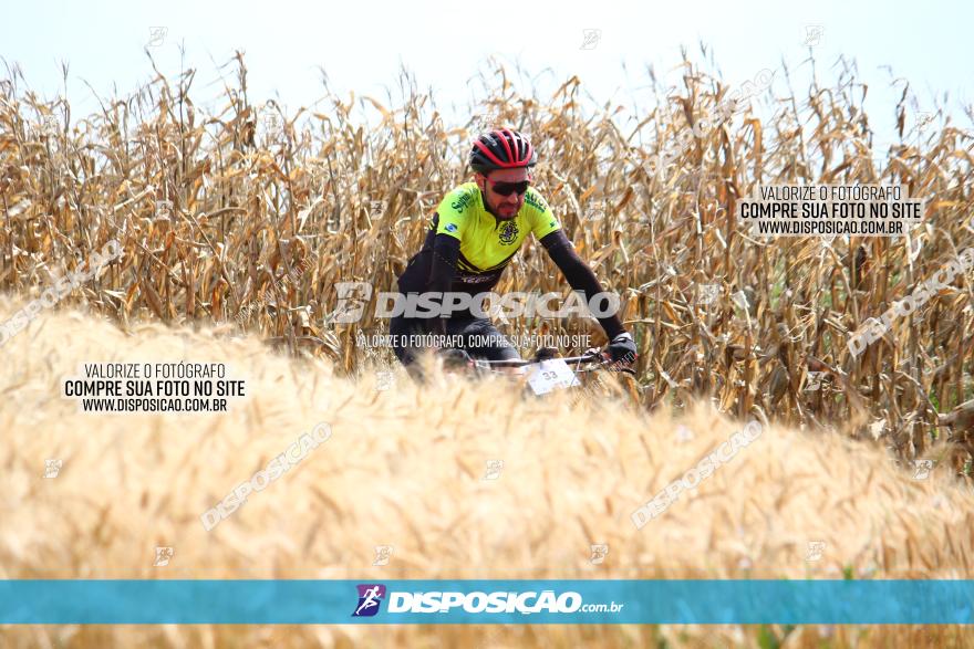 Circuito Regional de MTB - 3ª Etapa - Marialva