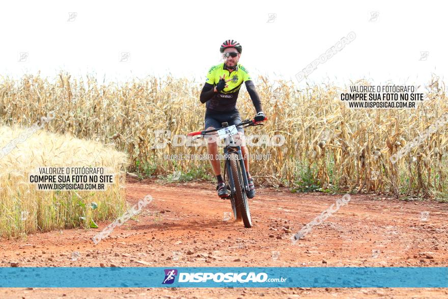 Circuito Regional de MTB - 3ª Etapa - Marialva