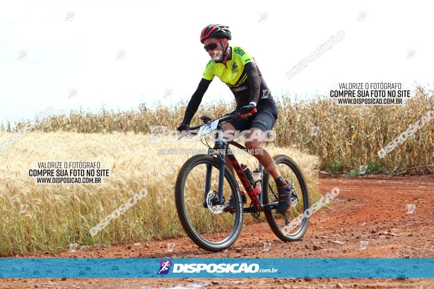 Circuito Regional de MTB - 3ª Etapa - Marialva