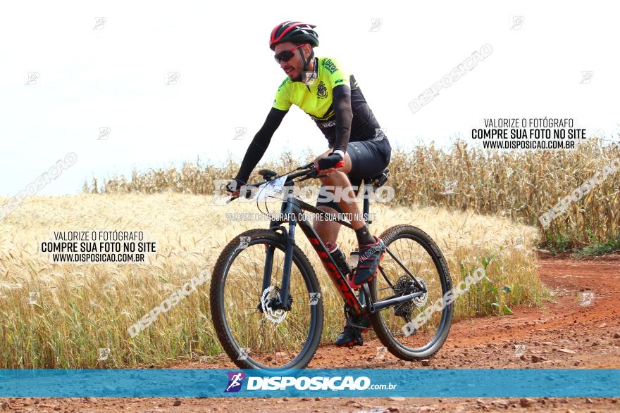 Circuito Regional de MTB - 3ª Etapa - Marialva