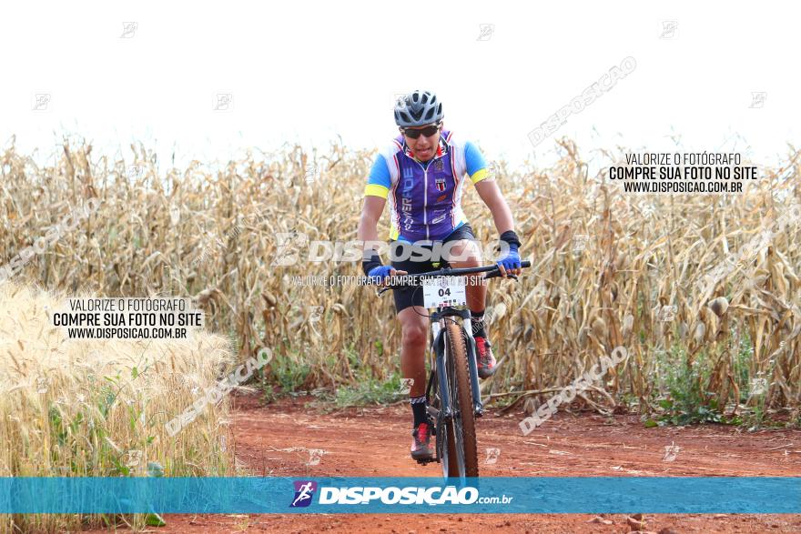 Circuito Regional de MTB - 3ª Etapa - Marialva