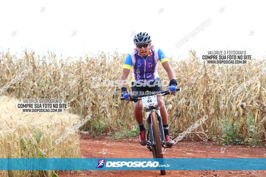 Circuito Regional de MTB - 3ª Etapa - Marialva