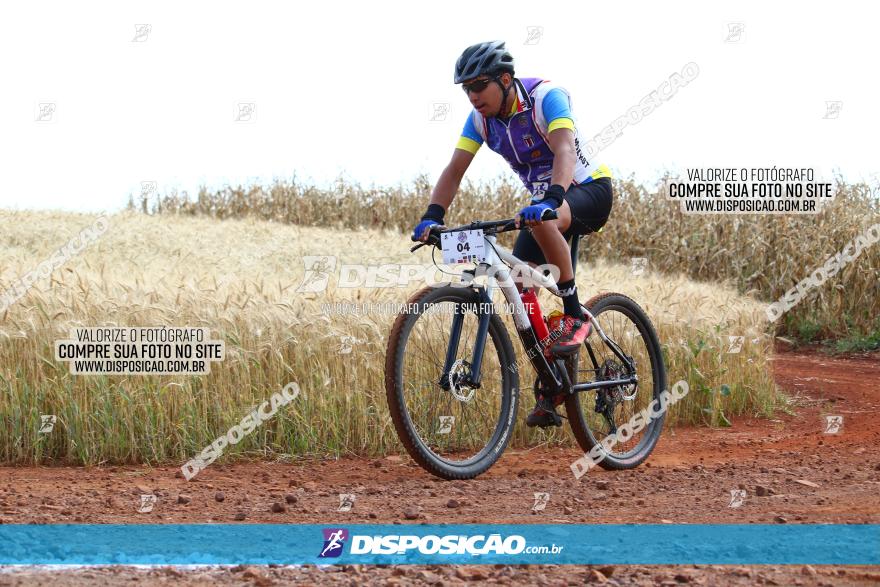 Circuito Regional de MTB - 3ª Etapa - Marialva