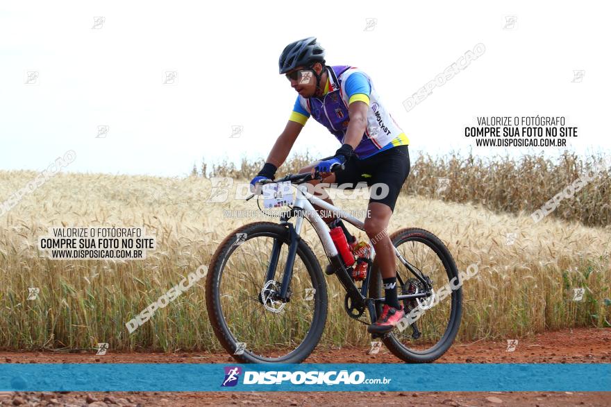 Circuito Regional de MTB - 3ª Etapa - Marialva