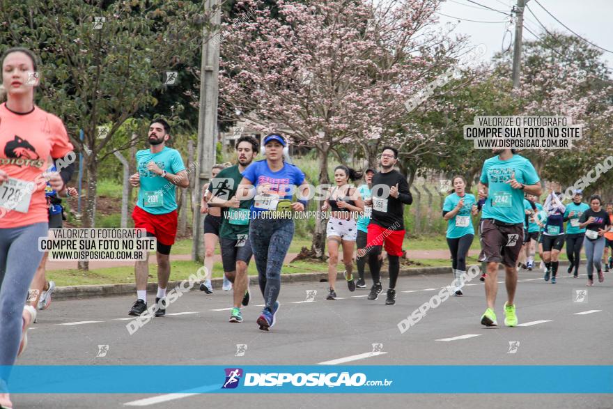 Corrida do Bem