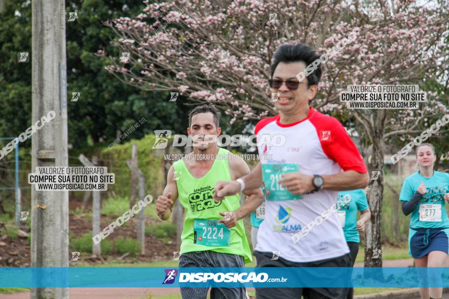 Corrida do Bem