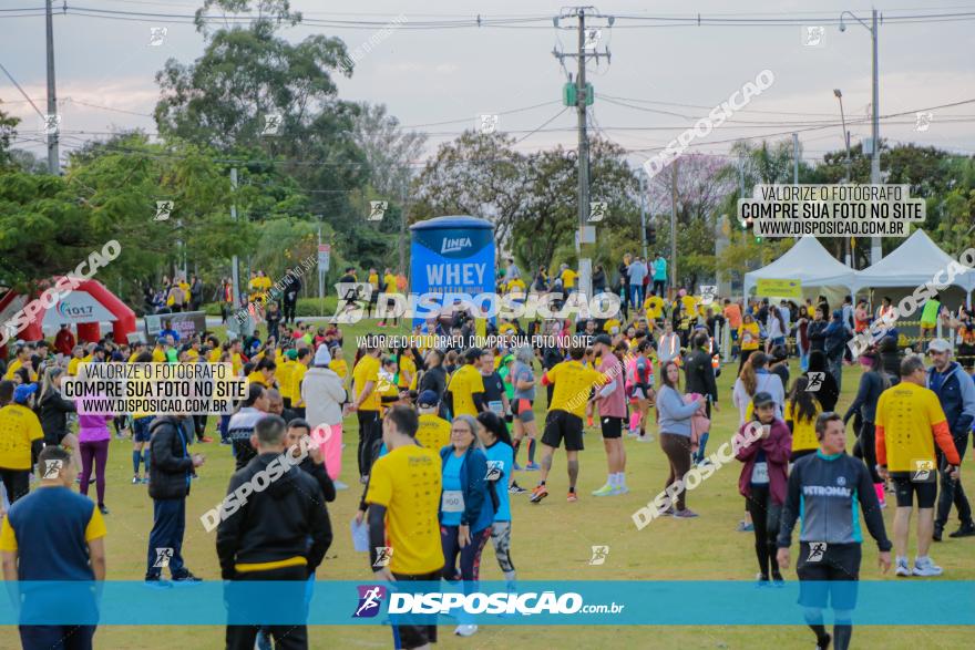 Muffato Fresh Run 2022 - Londrina