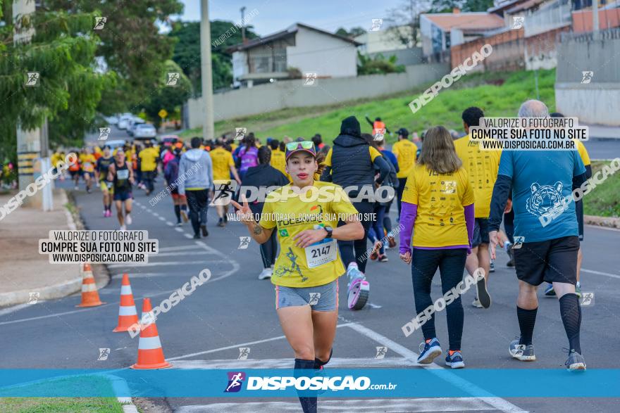 Muffato Fresh Run 2022 - Londrina