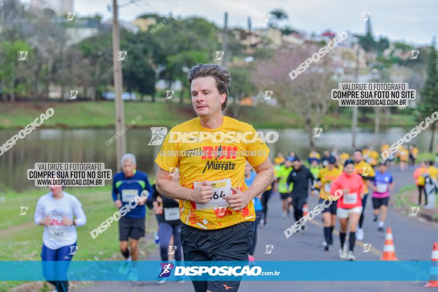 Muffato Fresh Run 2022 - Londrina