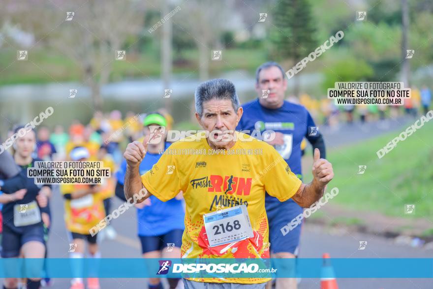 Muffato Fresh Run 2022 - Londrina