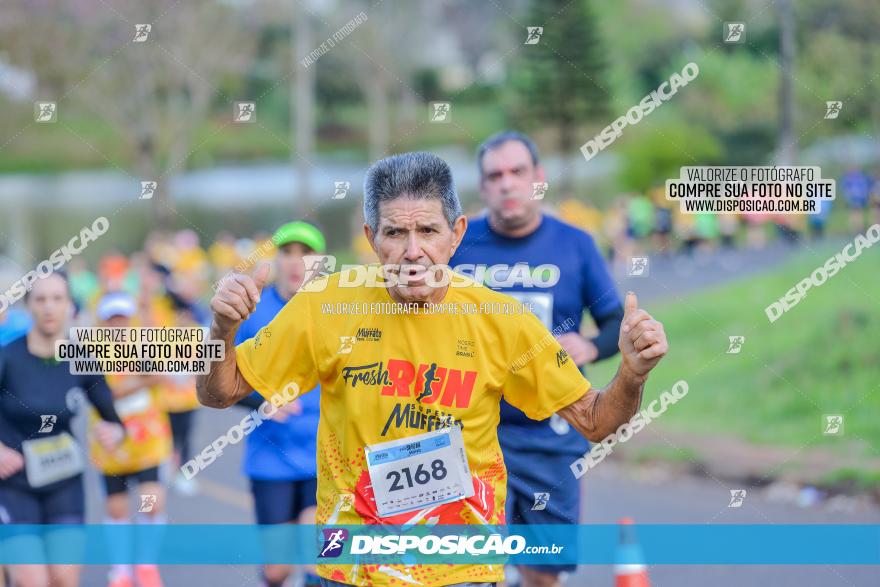 Muffato Fresh Run 2022 - Londrina