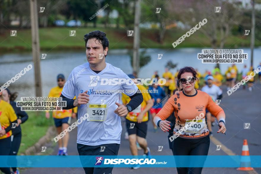 Muffato Fresh Run 2022 - Londrina