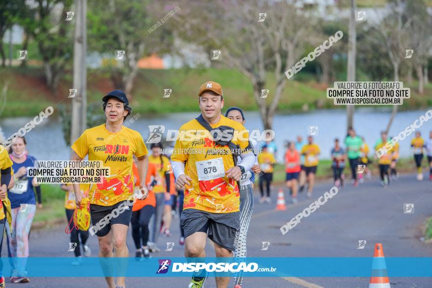 Muffato Fresh Run 2022 - Londrina