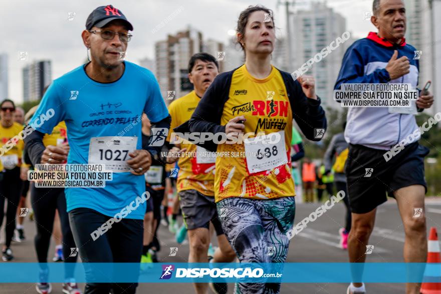 Muffato Fresh Run 2022 - Londrina