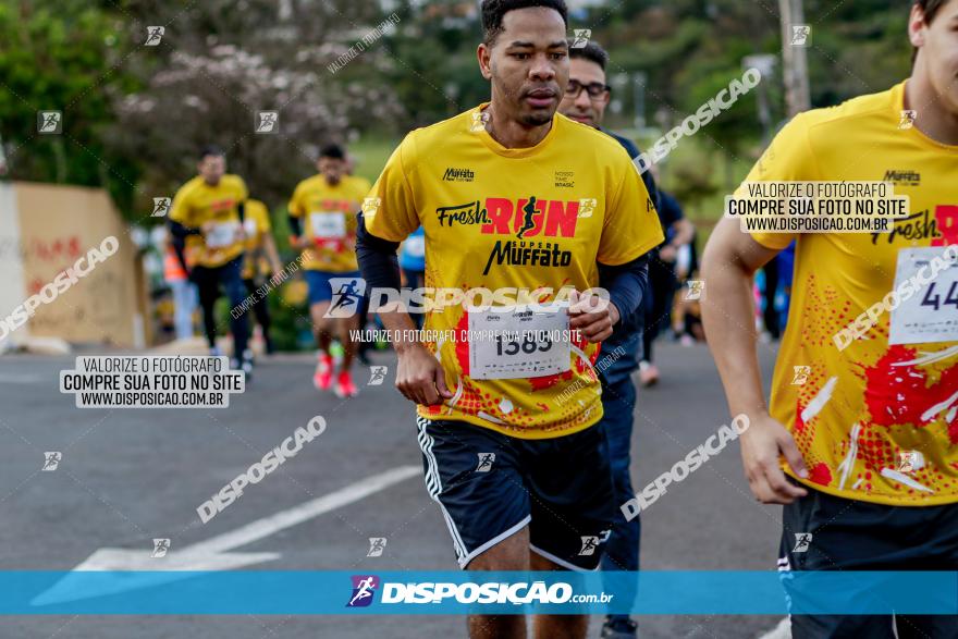 Muffato Fresh Run 2022 - Londrina