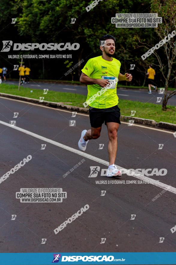 Muffato Fresh Run 2022 - Londrina