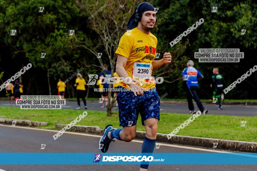 Muffato Fresh Run 2022 - Londrina