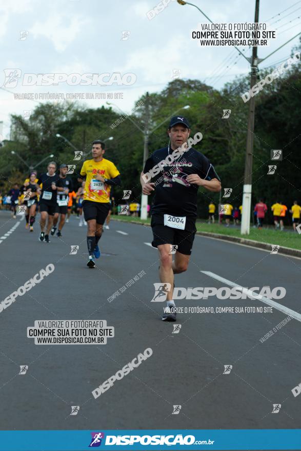 Muffato Fresh Run 2022 - Londrina