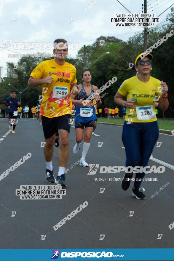 Muffato Fresh Run 2022 - Londrina