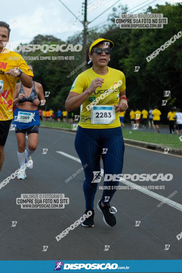 Muffato Fresh Run 2022 - Londrina