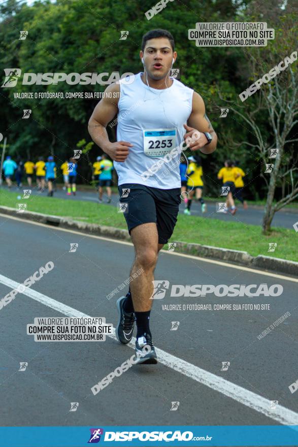 Muffato Fresh Run 2022 - Londrina