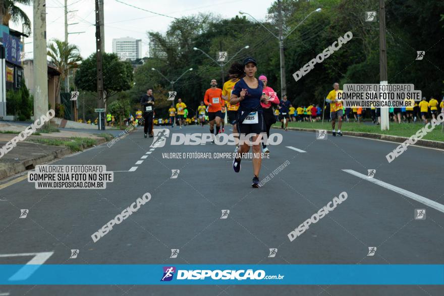 Muffato Fresh Run 2022 - Londrina