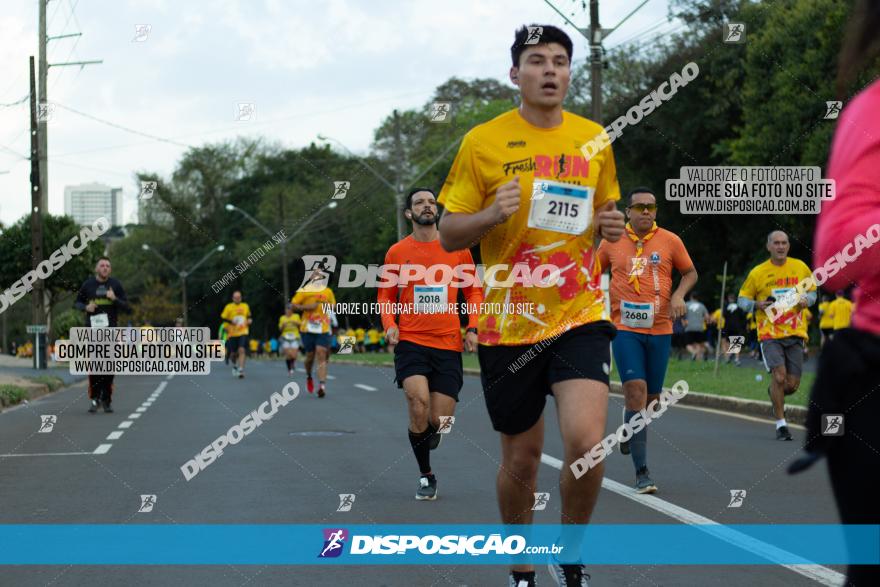 Muffato Fresh Run 2022 - Londrina