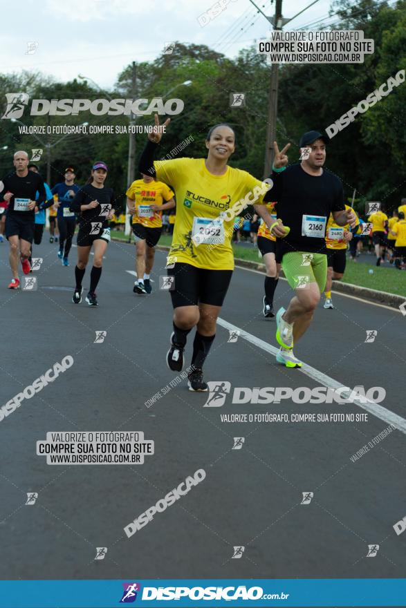 Muffato Fresh Run 2022 - Londrina