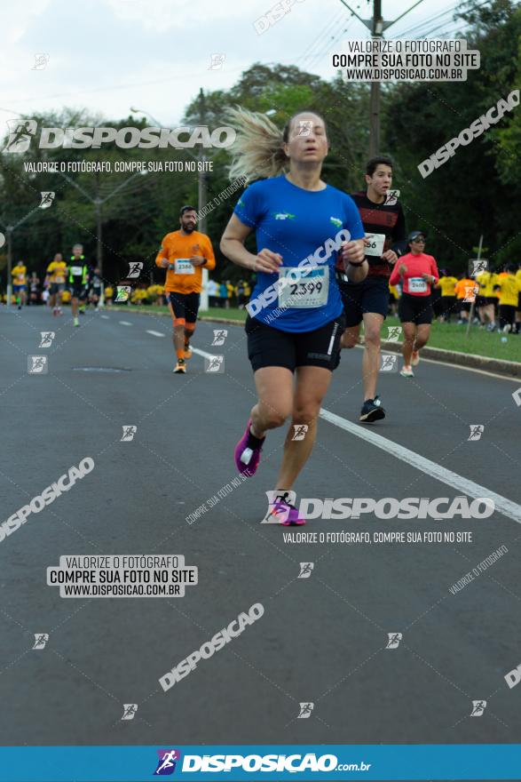 Muffato Fresh Run 2022 - Londrina