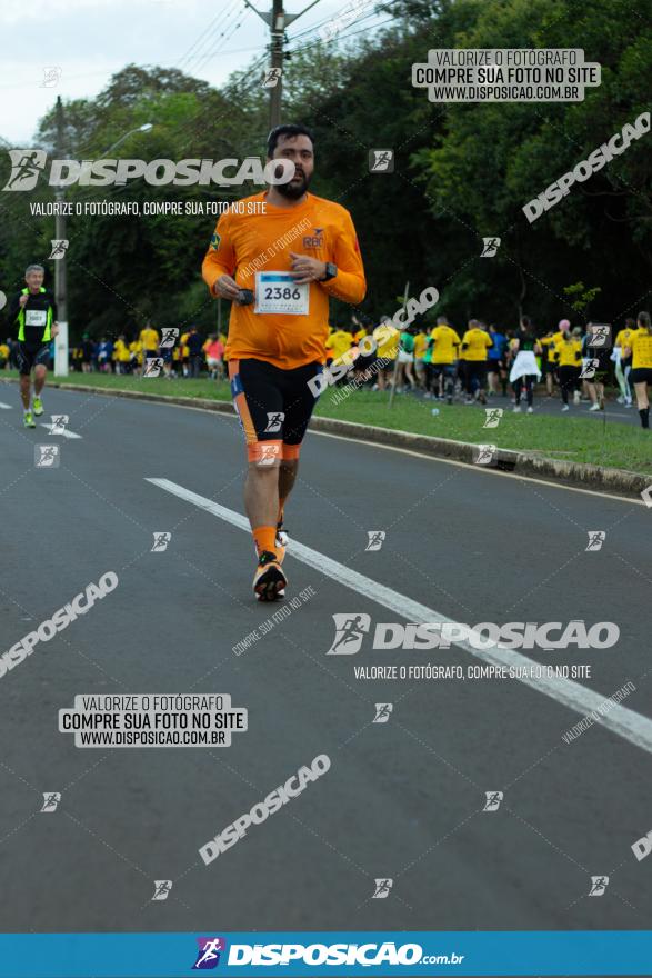 Muffato Fresh Run 2022 - Londrina