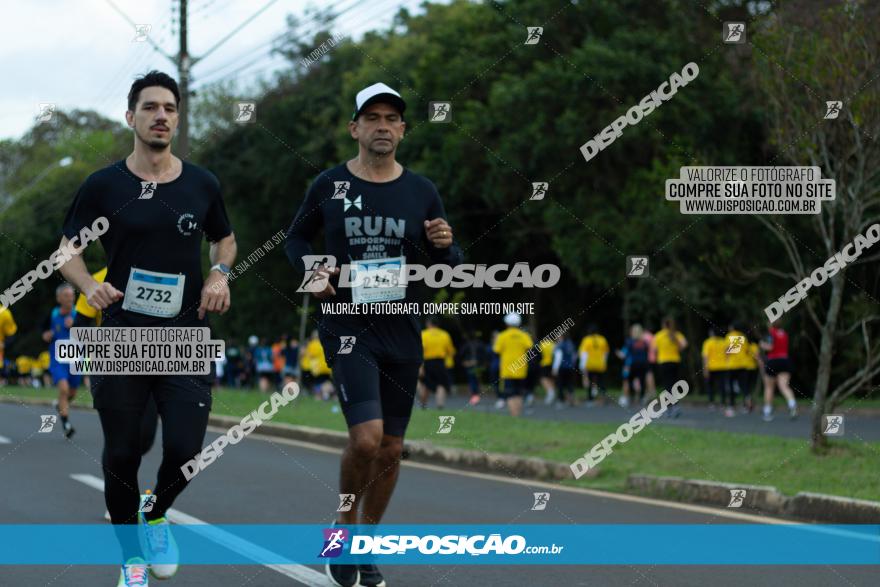 Muffato Fresh Run 2022 - Londrina