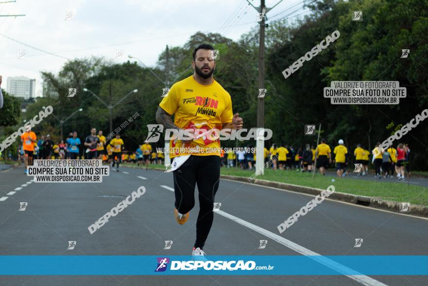 Muffato Fresh Run 2022 - Londrina