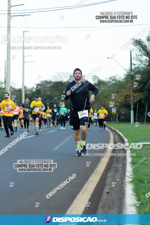 Muffato Fresh Run 2022 - Londrina