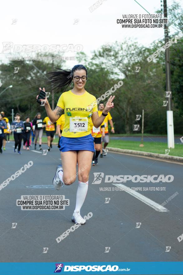 Muffato Fresh Run 2022 - Londrina